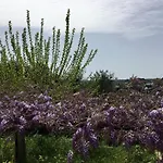 Nocleg ze śniadaniem Enea Monopoli