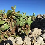 Enea Nocleg ze śniadaniem