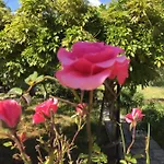 Enea Nocleg ze śniadaniem