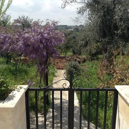 Enea Monopoli