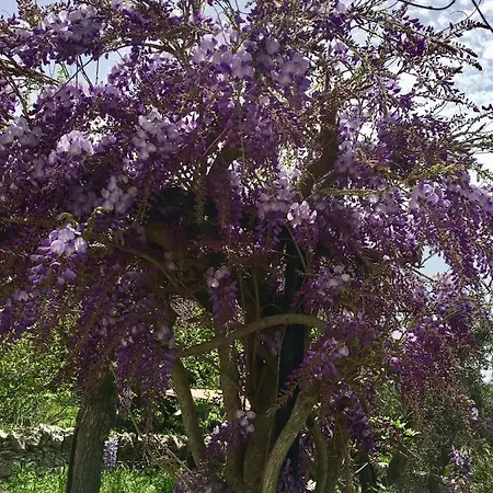 Bed and Breakfast Enea Monopoli