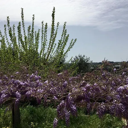 Bed and Breakfast Enea Monopoli