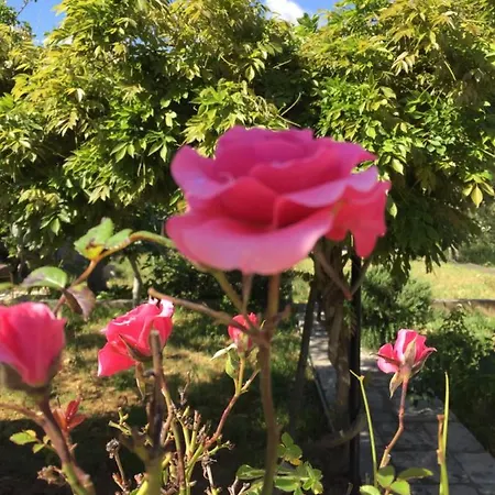 Enea Bed and Breakfast