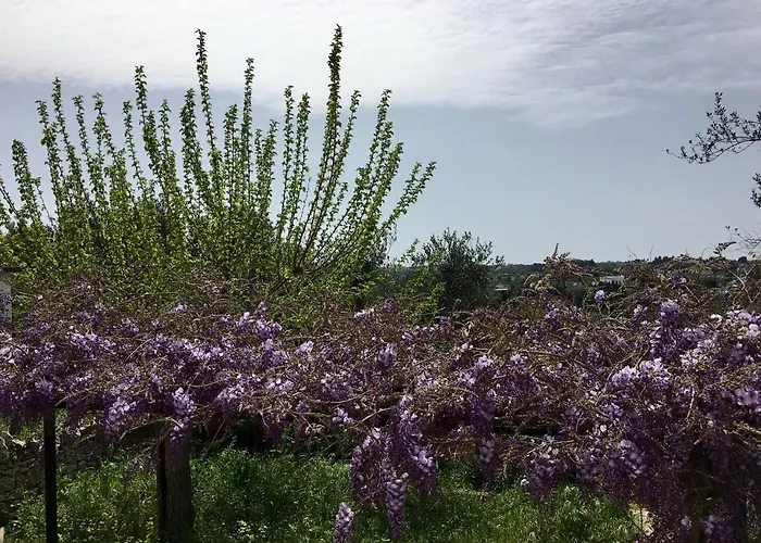 Alojamento de Acomodação e Pequeno-almoço Enea Monopoli
