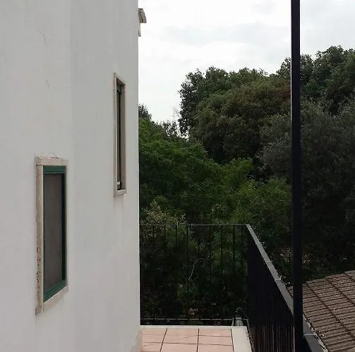Enea